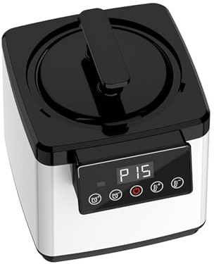 Poêle de sauna, Machine de fumigation vapeur sueur à la maison voix intelligente machine instrument bain pieds pot salle sauna corps entier Poêle de sauna(Smart touch black white)