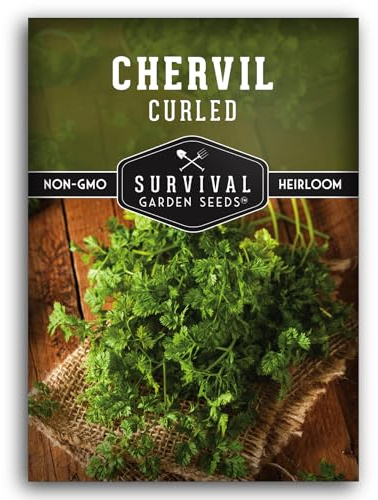 Survival Garden Seeds - Curled Chervil Seed for Planting - Packet with Instructions to Plant & Grow Aromatic French Herbs in Your Home Herb Garden - Non-GMO Heirloom Variety Chervil Seeds