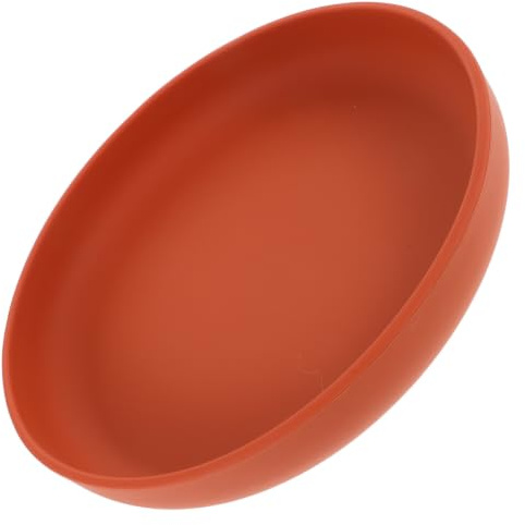 Assiette Anti-déversement pour Personnes Âgées et Handicapées en Silicone
