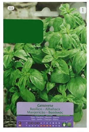 Semillas Albahaca Hojas Grandes, Albahaca Italiana o Genovesa Planta Comestible