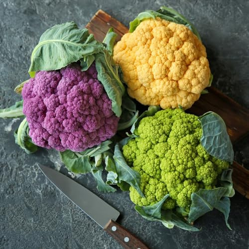 coliflor - Brassica oleracea - verdes orgánicas exóticas semillas de coliflor sostenibles balcón invernadero de jardín perennes resistentes resistentes en 100semillas