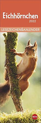 Eichhörnchen Lesezeichen & Kalender 2022