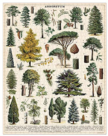 Cavallini Papers & Co. Arboretum 1,000 Piece Puzzle, Multi
