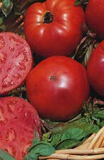 25 graines de tomate Super Marmande