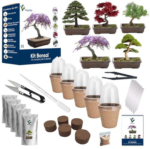 NOPALIA® Kit Bonsaï - Mini Kit Prêt à Pousser - Idée Cadeau Originale Pour Homme Femme Enfants | Kit Plantes Intérieur Avec Graines De Bonsaï - Kit Jardinage - Jardin Intérieur - Décoration Intérieur