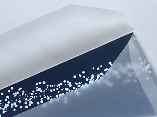 100 Kuvertierhüllen, transparent, 220 x 110 mm, DIN lang, nassklebende Umschläge, Premium: 100 g/qm, Trapezschnitt, maschinenfähig