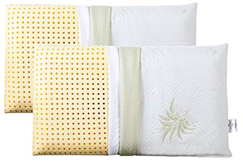 EVERGREENWEB Coppia Cuscini Letto 40x70 Alti 18 cm Modello Saponetta 100% Memory Foam Doppia Fodera Aloe Vera e Cotone Sfoderabile Guanciali RILASSANTI per dolori Cervicali con Dispositivo Medico