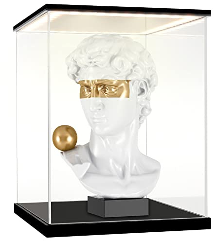 Huijintao Vitrine pour Collection, Boite Acrylique Transparent, Vitrine Voiture Miniature, Vitrine Exposition Vitrine Acrylique pour Figurine, Miniature, avec éclairage LED (20x20x30 cm)