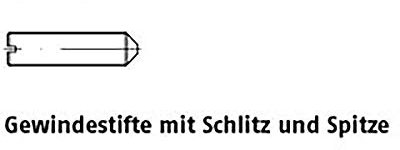 Perni con intaglio ISO 7434 14 H M 6 X 25 VE = K 100 pezzi