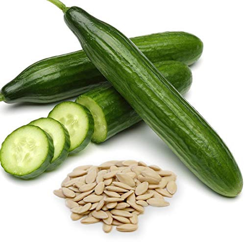 Welldales 20 Cucumber Seeds Gardeners Selected British Easy Sow Vegetable Garden Plants