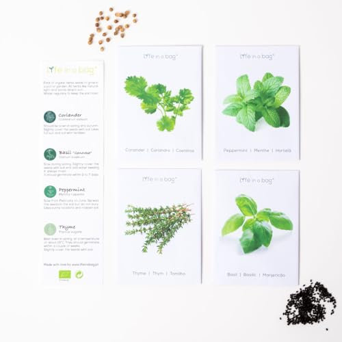 Lot de 4 variétés de graines d'herbes aromatiques, basilic, thym, coriandre, menthe, graines écologiques de plantes aromatiques
