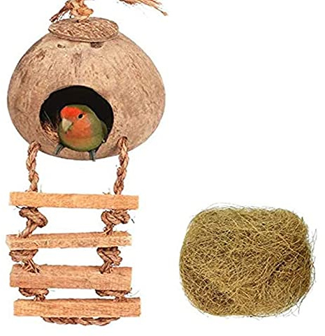 Tfwadmx Coconut Hide with Ladder, Natural Fiber Hanging Birdhouse Cage, Bird Shell Breeding Nest for Parrot, Parakeet, Lovebird, Finch, Canary (2 Pcs)