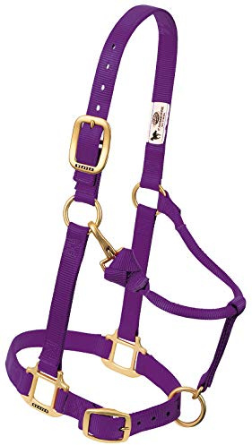 Weaver Cuero Caballo Miniatura de Nylon Ajustable Cabestro, Morado