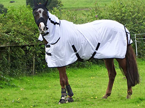 Turner Cool White Fly Rug for Horse/Pony/Shetland - Lightweight Full Neck Combo - 5'6