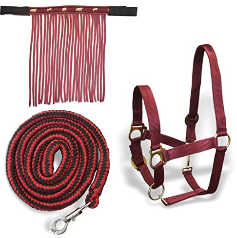 Cavezza per cavalli con maglia di guida e frangia per mosche, cavezza con maglia – Cavezza Pony Shetty Cob Full Kb (pony, bordeaux)