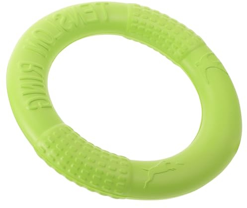 GRIRIW Giocattolo Anello Volante per Cani Resistenti Disco da Lancio Interattivo per Addestramento e Masticazione per Cani Piccoli e Medi Facile da Pulire e Sicuro per Denti Gioco