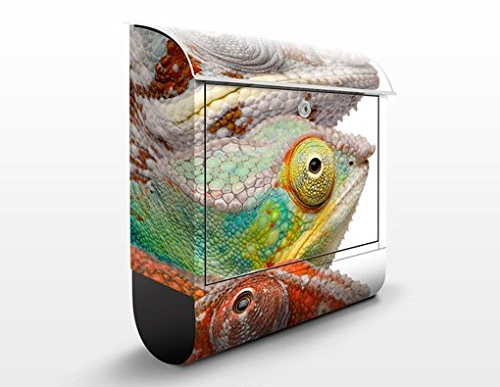Briefkasten mit Zeitungsrolle Bunte Chamäleon 46cm x 39cm