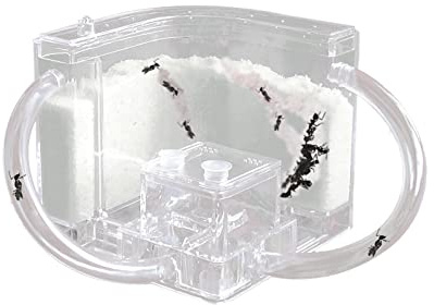 EXBEPE Sand Ant Farm with Connecting Tubes,Live Ant Habitat Colony Ecosystem Terrarium Kit for Kids to Study Insect Behavior