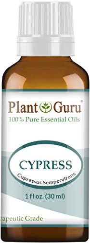 Cypress Essential Oil 30 ml / 1 oz 100% Pure Undiluted Therapeutic Grade