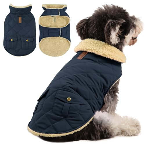 Queenmore Wintermantel Hund Wasserdicht Hundemantel Für Kleine Hunde Warme Hundejacke Winter Quilten Hundebekleidung Winter Hundepullover Für Dackel Chihuahua Pudel Bulldogge Beagle, Blau, XS