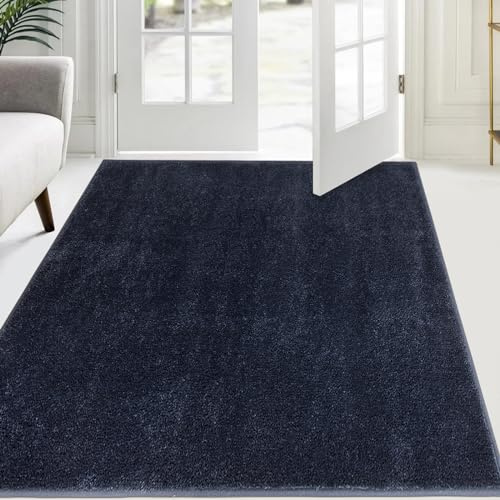 FCSDETAIL Zerbino Trappola Sporco 120 x 180 cm, Tappetino Antiscivolo Lavabile in Lavatrice, Zerbino d'Ingresso con Microfibre Morbide Assorbenti per Cane, Ingresso, Porta e Corridoio