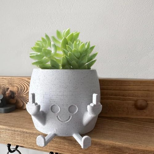 LEEWENYAN Póts à Fleurs pour Plantés Succulentes, Pot à Plantes Souriant avec Doigt du Milieu, Home DéCor de Plantes Vertes, Pot à Fleurs pour Les Amateurs de Plantes pour L'IntéRieur et L'ExtéRieur