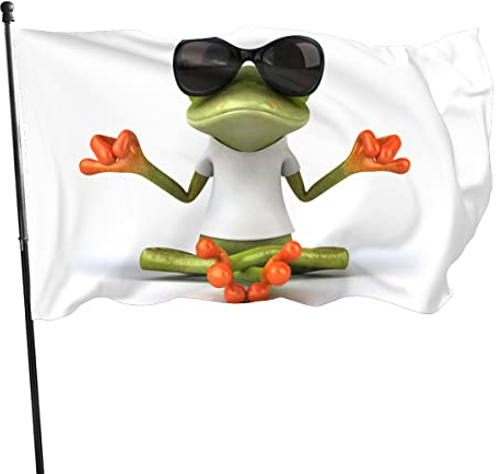 NIBABAEU 90x150cm Drapeau Décoratif Maison Bannière de Cour Drôle Grenouille Méditation Yoga Drapeau Grenouille Impression Drapeaux de Jardin Drapeaux Suspendus Décoration (frog01)