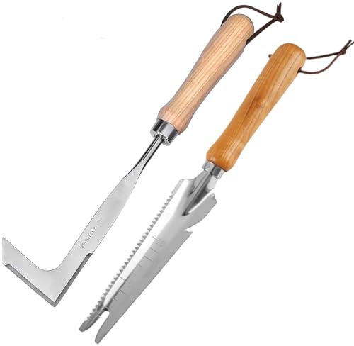 GROVBLE Rascador de juntas para malas hierbas, rascador de juntas con mango de plástico, deshierbe para eliminar musgo y malas hierbas, dispositivo para jardinería