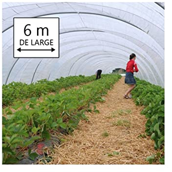 KALEMBAL Bâche Serre 6x8 m - Translucide - Très résistante - Etanche - Anti-UV - Fabrication française