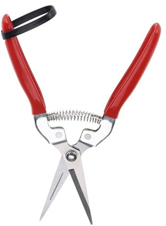 Tijeras de Podar Resistentes de Acero Inoxidable para árboles Frutales, Bonsáis y Jardinería, Tijeras de Jardín de Hoja Curva, Herramienta Podadora (#01)