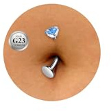 ESHIONER G23 Titan navelstänger piercing silver guld navelpiercing smycken för kvinnor liten kort lång liten skivstång CZ rosa 14 G 10 mm 12 mm 14 mm internt gängade platt baksida magstänger, 10MM