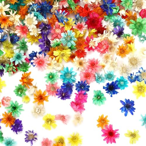 MARFOREVER Torkade blommor för pyssel, 420 stycken mini torkade blommor färgglada torkade blommor torkade blommor små stjärnblommor huvuden färgglada tredjeblommor för konst gör-det-själv harts ljus