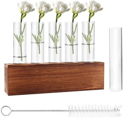Riisoyu 6 Vase en Verre de Tube À Essai, Station de Propagation de Plantes en Verre Vase en Verre Hydroponique avec Support en Bois et Brosse Vases pour Plantes Immergées pour Plantes Hydroponiques