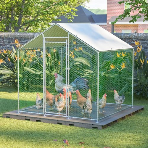 Clapier d'extérieur résistant à l'hiver - Poulailler enclos 2 x 2 x 2 m avec serrure de sécurité et volière pour petits animaux tels que lapins et canards