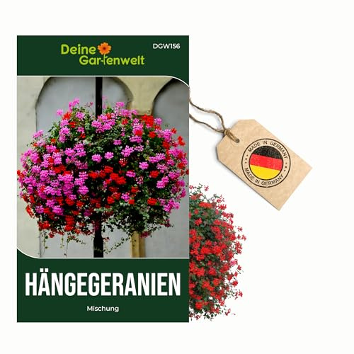 Hängegeranien Mischung Samen - Pelargonium peltatum - Geraniensamen - Blumensamen - Saatgut für 20 Pflanzen Geranien – 3er Pack