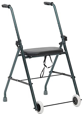 Identités Rollator Classic en Aluminium 2 Roues