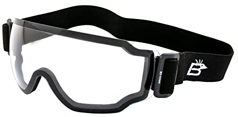 Birdz Eyewear Arch Sports Padded Safety Sky Diving Ski Motorcycle Goggles for Men & Women ANSI Z78.1+ (Black-Clear)