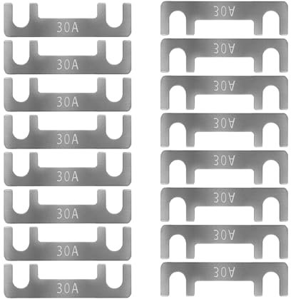 Fusibile a Nastro Mini Fusibili Auto Fusibili Lamellari 16pz Fusibili Stripe 30A 40A 50A 60A 70A 80A 100A 110A 125A 150A per Portafusibili Corrente Forte per Auto Camion Moto Barca (30A)