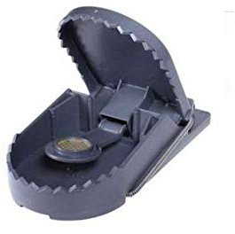 SWISSINNO Trappola per RATTI SUPERCAT Grande PZ1