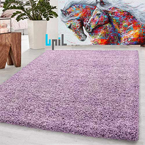 BPIL EXTRA THICK HEAVY 5CM PILE SOFT LUXURIOUS SHAGGY MODERN AREA BEDROOM HALL RUG RUNNER MAT SMALL - XX LARGE (HEATHER, 120X170CM)