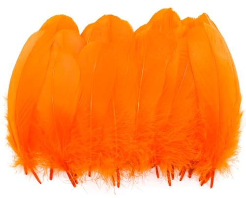 50 Pieces Orange Feathers for Crafts, Natural Feather Fantasy Ornament, Natural Goose Feathers for DIY Dream Catchers Earring Wedding Party Art Crafts Gift Box Filling Decoration, 18-20cm