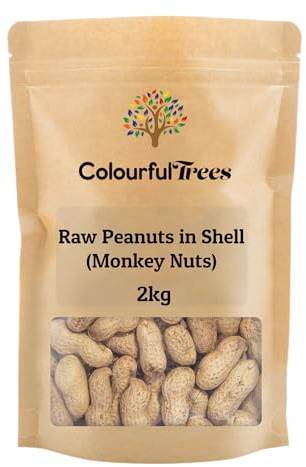 Raw Peanuts in Shell (Monkey Nuts) 2kg by Colourful Trees