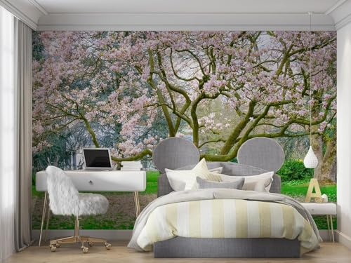 Fotomurales Decorativos Pared Cerezo En Flor En Primavera 300x210 cm Papel Pintado Tejido No Tejido Japonés Fotomural 3D Mural Paredes Papel Tapiz Decoración Salón o Dormitorio a-2508