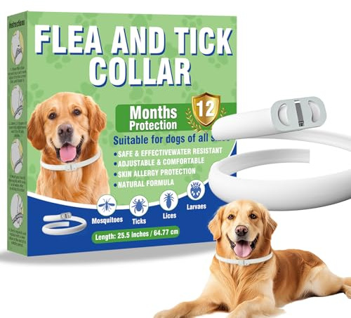 Inpumo Collare Antiparassitario per Cani, Collare Regolabile Resistente all'Acqua, Protezione Efficace contro Parassiti per Tutti i Tipi di Cani, Durata 12 Mesi (1 Pack)