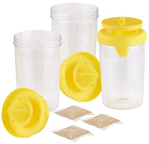 Exbuster Fliegenkiller: 3er-Set Fliegenfalle mit natürlichem Wirkstoff für je 10 Wochen (Fliegenfalle als Insektenschutz, mit Pheromonen, Insekten)