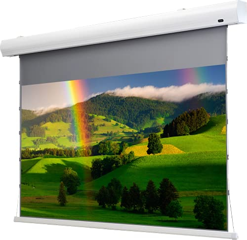 celexon HomeCinema Motorleinwand Tension 221 x 124 cm 100 - Dynamic Slate ALR