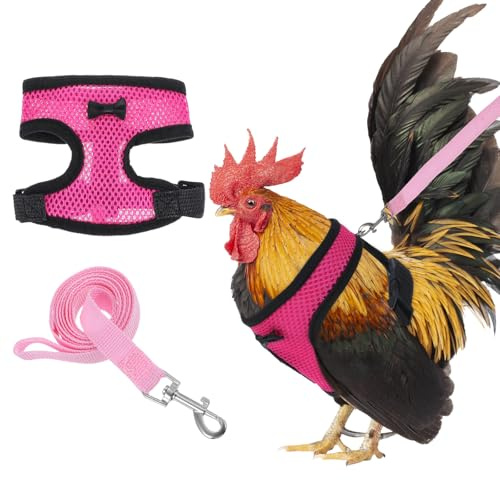 1 harnais pour poulet avec laisse réglable - Respirant - Pour l'entraînement et la marche avec poules, canards, oies et petits animaux de compagnie (rose, taille S)