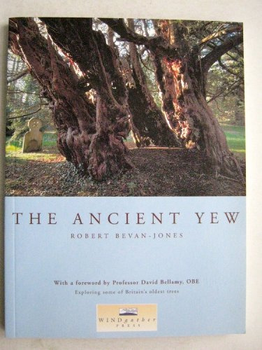 The Ancient Yew