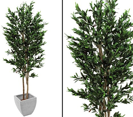 kunstpflanzen-discount.com Olivträd, 2-stadigt, med oliv, 250 cm – prisvärd högkvalitativ oliv konstträd