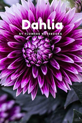 Dahlia: Notebook for Drawing and Writing, Journal, Diary, School, Office, Home, Student, Teacher, Office Supplies (110 Page, Blank, 6 x 9 inch, 15.24 x 22.86 cm) (Flowers)